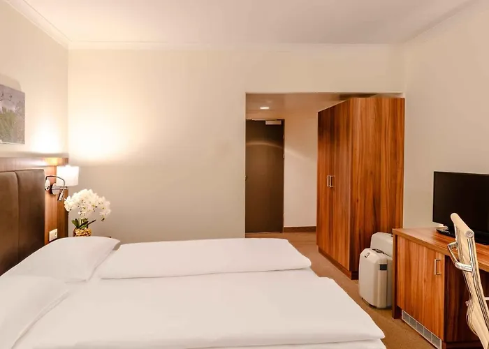 Plaza Premium 4* ウィーン